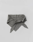 Jaipur Wool/Silk Scarf